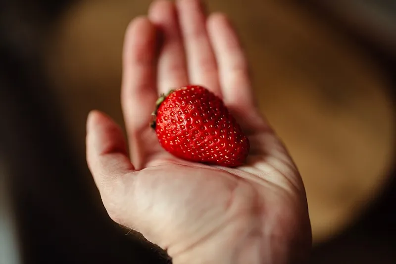 From Soil to Superfood: How Growing Your Own Strawberries Unlocks Nutrition You Can't Buy at the Grocery Store