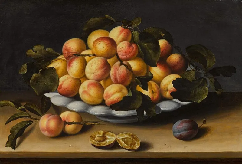 Peach Season Doesn't Have to End in August: A Grower's Guide to Preserving Stone Fruit Without Wrecking the Nutrition